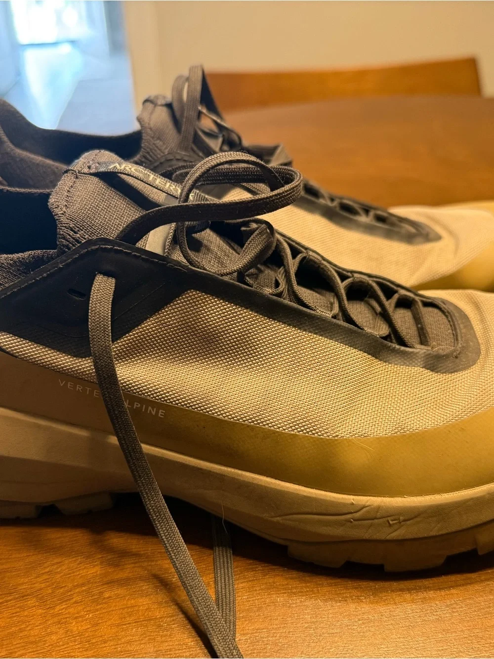 Arc'teryx Men's Athletic Shoes with Vibram Sole - Beige, Gray, Black